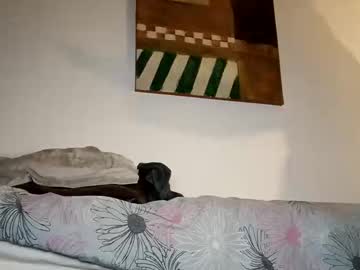 420scottish profile image (offline)