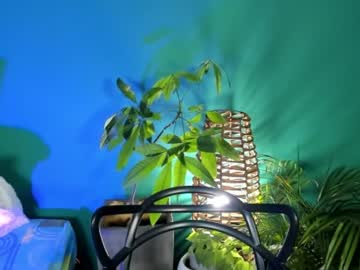 Anne Babb • latina • 0y • Colombia • public