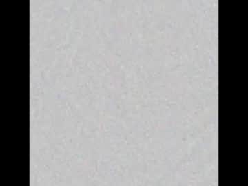 Live cam boy Bighairytopping – Hot Male Cams