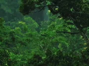 Bugphobic live cam profile photo — HD — trans — age 20 — columbia