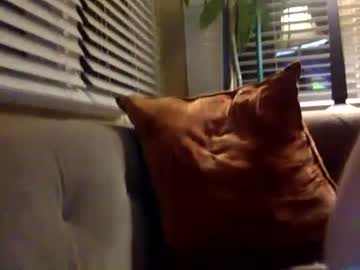 Hard513 • c2c • 46y • United States • public