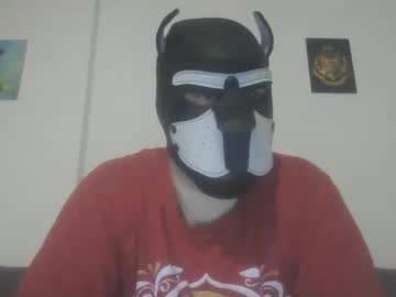 Jackstoun Puppy • feet • 33y • Hauts-de-France, France • public