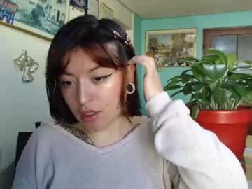 Kathe666 • shorthair • 22y • Bogota D.C., Colombia • public