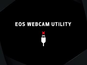 Lion 20cm • bigdick • 0y • Colombia • public