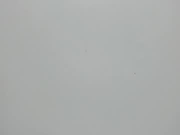 Martina Ayala • latina • 29y • Colombia • private