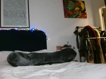 Meowmin • wild • 0y • Leinster, Ireland • public