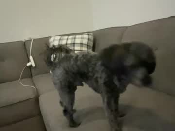 Muscleginger • ginger • New York, United States • public