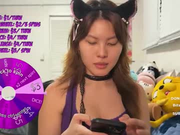 Nekoxwaifu live cam profile photo — HD — findom — age 0 — united states