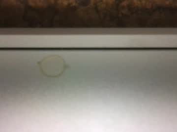 Stunnerfun • shower • 0y • Colorado, United States • public