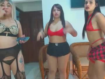 Live cam boy Thekinkycurator - Hot College Sex Cams