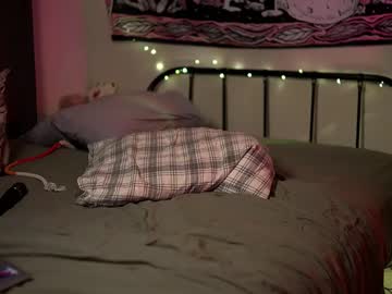 Lina N Kitty live cam profile photo — HD — blowjob — age 0 — The Cat Kingdom