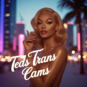 Interactive trans cam studio view